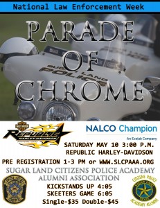 Parade of Chrome 2014 Poster